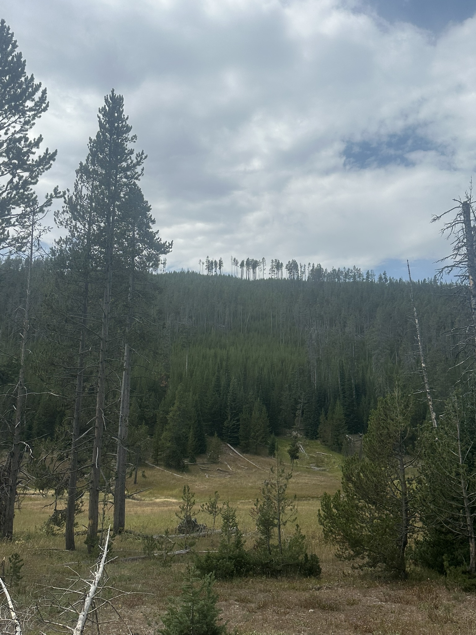 Yellowstone And Grand Teton National Parks - Image 666